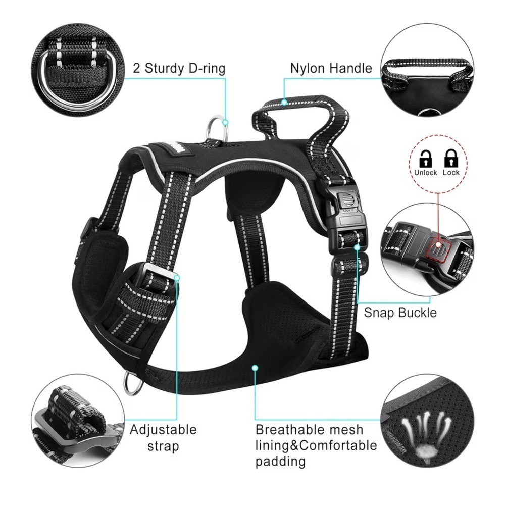 Black Dog Harness 050 - Picture 4 of 5